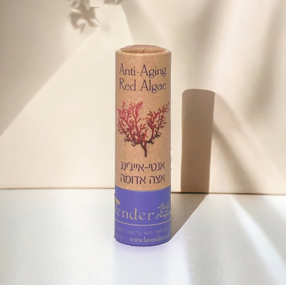 Read more about the article מאמר מידע מקצועי 1