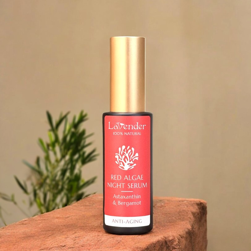 Read more about the article מאמר מידע מקצועי 2